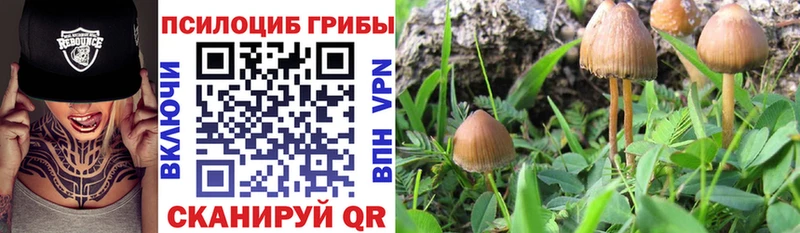 Галлюциногенные грибы мухоморы  Рыбинск 